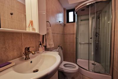 Vila cocheta cu spatii generoase si gradina de 350 mp - 12