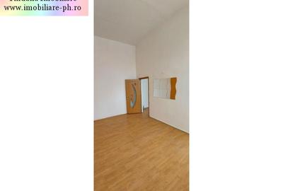 Spațiu comercial de inchiriat : Cantacuzino-(Podul Inalt) - 7