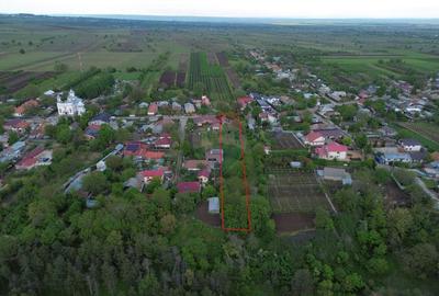 Casă cu teren Tifesti / Sarbi - 14