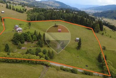 Teren 33,364mp Dorna Candrenilor / Strada Strugurel - 1