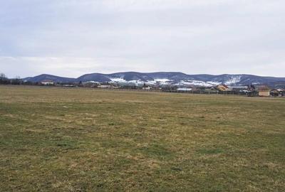 Teren agricol extravilan de 7200 mp, în Exterior Sud