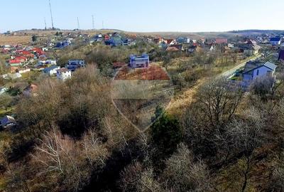 Teren constructii 1.004 mp–priveliște neîntrerupta spre oras - 9