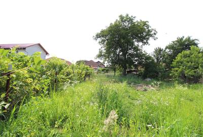 Casă strada Victoriei, teren 631 mp - 8