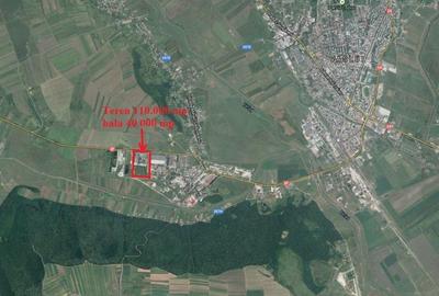 Bacaului 110.000mp + 40.000mp hala 1.900.000euro - 2