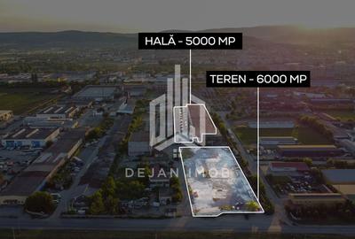 Hală Industrială | 5.000 MP | Sfântu Gheorghe - 5