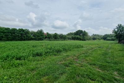 Casa la 5 km de Targu-Neamt - cu iaz si livada matura - gata pentru mutat - 13