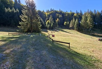 Teren intravilan de 2150 mp, în Lunca Bradului