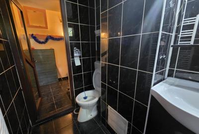 Apartament de inchiriat, 2 camere, semidecomandat, 48 mp, Alexandru cel Bun - 11