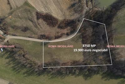 Teren superb de vânzare în Dumbrăvița – 3.750 mp - 1