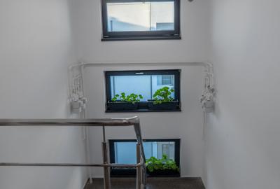 APARTAMENT 3 CAMERE+LOC DE PARCARE POPAS PACURARI - 20