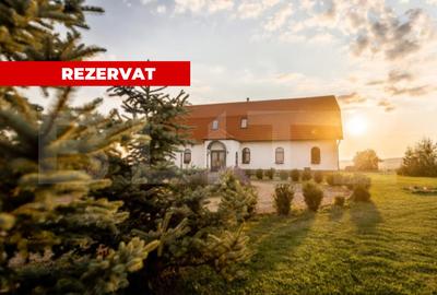 Conac de vânzare 7 camere cu bai proprii, cramă, ciubăr și potențial - 2