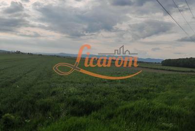 Teren Stupini Calea Feldioarei 4600 mp,21 euro/mp, front asfalt-DN13 - 8