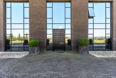 Birouri Premium de 304 mp în Zona Industrială Vest Arad - 3