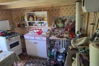 Casa 5 camere cu teren generos in Seitin judetul Arad - 15