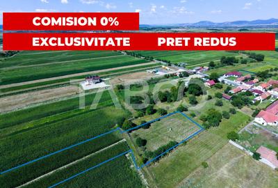 Teren Construcții intravilan de 3150 mp, în Vad