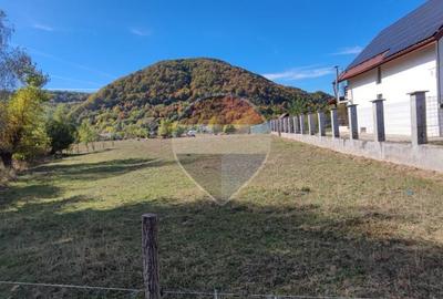 Teren 2,103mp Sighetu Marmatiei / Strada Solovan