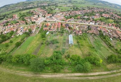 Casă de vânzare în comuna Târnava – poziție centrală, teren generos - 13