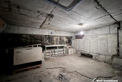 Spatiu comercial 160mp, 2 intrari, H=4m, trifazic, pod Calvaria Manastur - 13