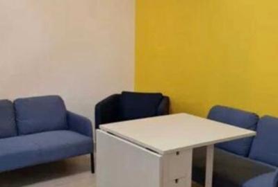 Tineretului, 2 camere, 50mp, parter, curte 10mp, 650Euro/luna(utilitati incluse) - 4