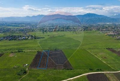 Teren Construcții intravilan de 8600 mp, în Stupini