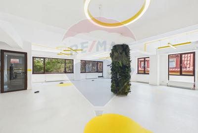 Spațiu comercial / birouri Piata Unirii - 14