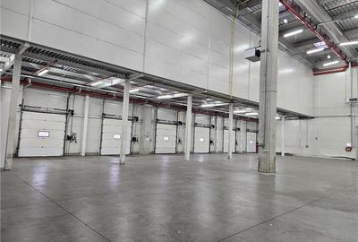 Spatiu Industrial - 3200 mp - Logistica - Depozitare - Distributie - 11