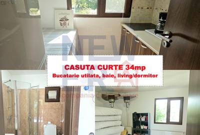 PROPRIETATE DEOSEBITĂ CU POTENȚIAL REZIDENȚIAL ȘI  BUSINESS – MOVILA, NICULEȘTI - 9
