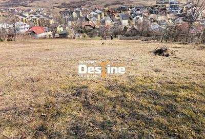 Teren Construcții intravilan de 3000 mp, în Rediu
