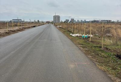 Teren Construcții intravilan de 6000 mp, în Theodor Pallady