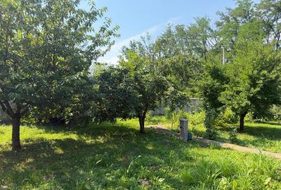 Casa din lemn masiv | 3 camere | Teren 5.000mp -Berceni Prahova - 11