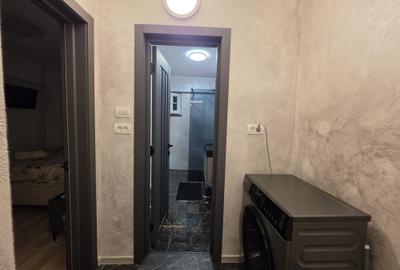 Apartament 2 camere George Enescu de inchiriat - 7