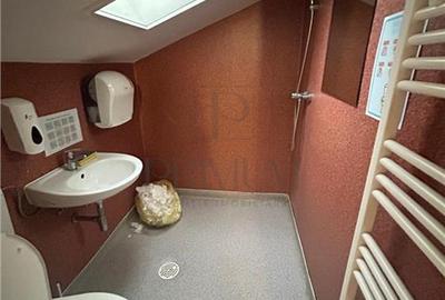 Spatiu comercial tip hala productie sau depozit - Mehala - 5