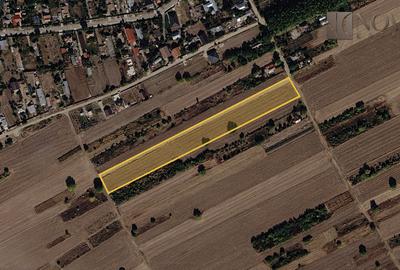 Teren Construcții intravilan de 10805 mp, în Grădiștea