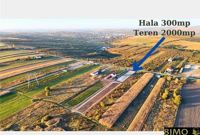 Hala de inchiriat- Strada DN2E Falticeni - 7
