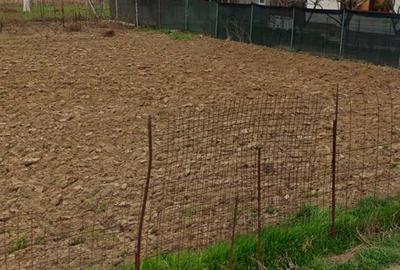 Teren Construcții intravilan de 500 mp, în Măgurele