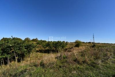 Teren 10.000mp plan, 350m altitudine | Barnova-Paun | POT 35%, CUT 0.9 - 8