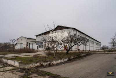 Teren 28.788m + Hale industriale + Sediu Firma - 30