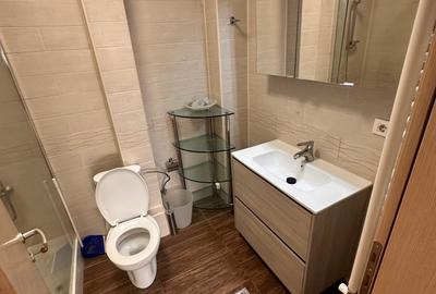 Herastrau Nordului. 3 camere mobilat - 14