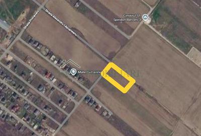 Vand teren 5000 mp extravilan langa case, Berceni - 3