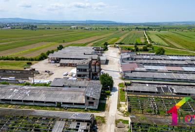 Teren 100.000 mp + Spatii Industriale Bacau - 13