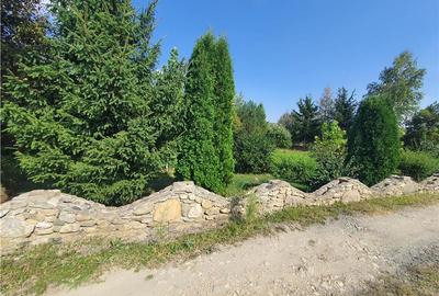 Teren intravilan - ultimul lot de 698mp in Sacel - zona lacuri - 18
