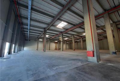 Spațiu industrial, de 6,500 mp, în Nord