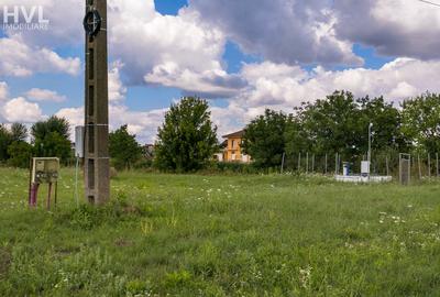 Teren intravilan Bodrogu Nou, DJ682 - 5