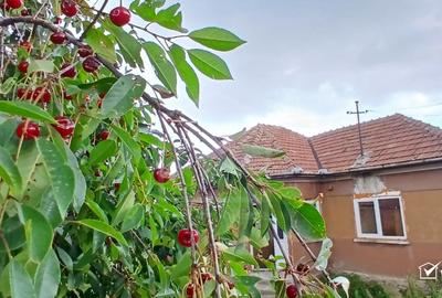 Casă individuală cu 3 camere în Dângău Mare
