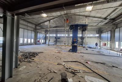 Depozit /productie 1500 mp -depozit-3000mp platforma betonata - 4