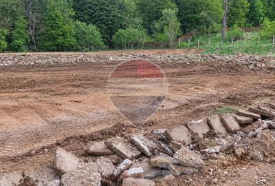 Teren intravilan 3.16 ha | Proiect rezidential | Gilau | Comision 0% - 4