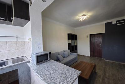 Apartament cu 2 camere de vanzare in zona Cismigiu - 3