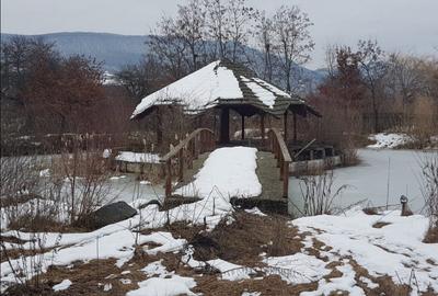 Teren Construcții intravilan de 6500 mp, în Sud