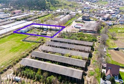 Teren Industrial 4,300mp și Hală 1000mp de Vânzare în Tomesti - Iași - 2