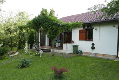 Vila romantica la Breaza - 3